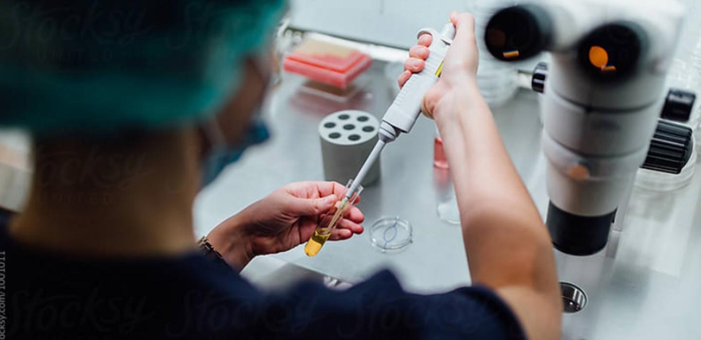 A doctor analyses a blood sample