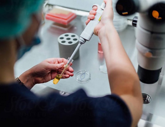 A doctor analyses a blood sample